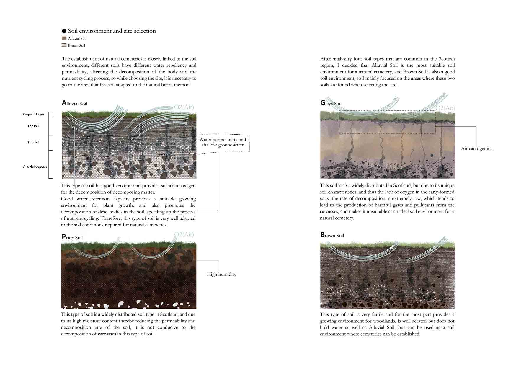 Environmental needs of natural cemeteries