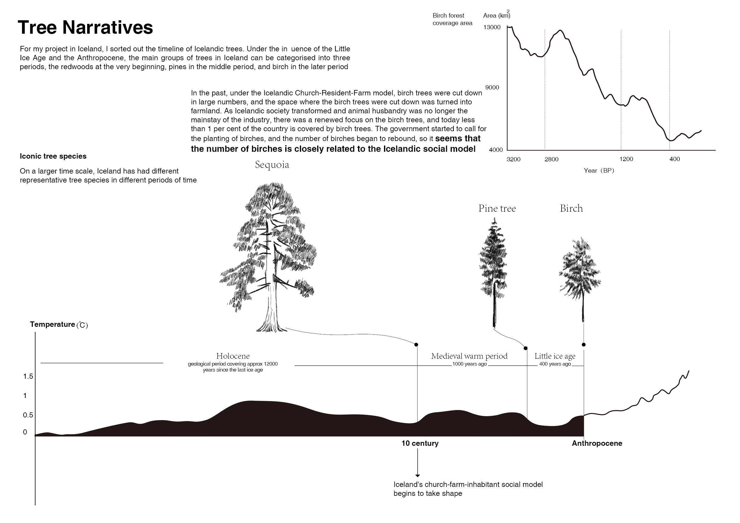 For my project in Iceland, I sorted out the timeline of Icelandic trees. Under the influence of the Little Ice Age and the Anthropocene, the main groups of trees in Iceland can be categorised into three periods, the redwoods at the very beginning, pines in the middle period, and birch in the later period