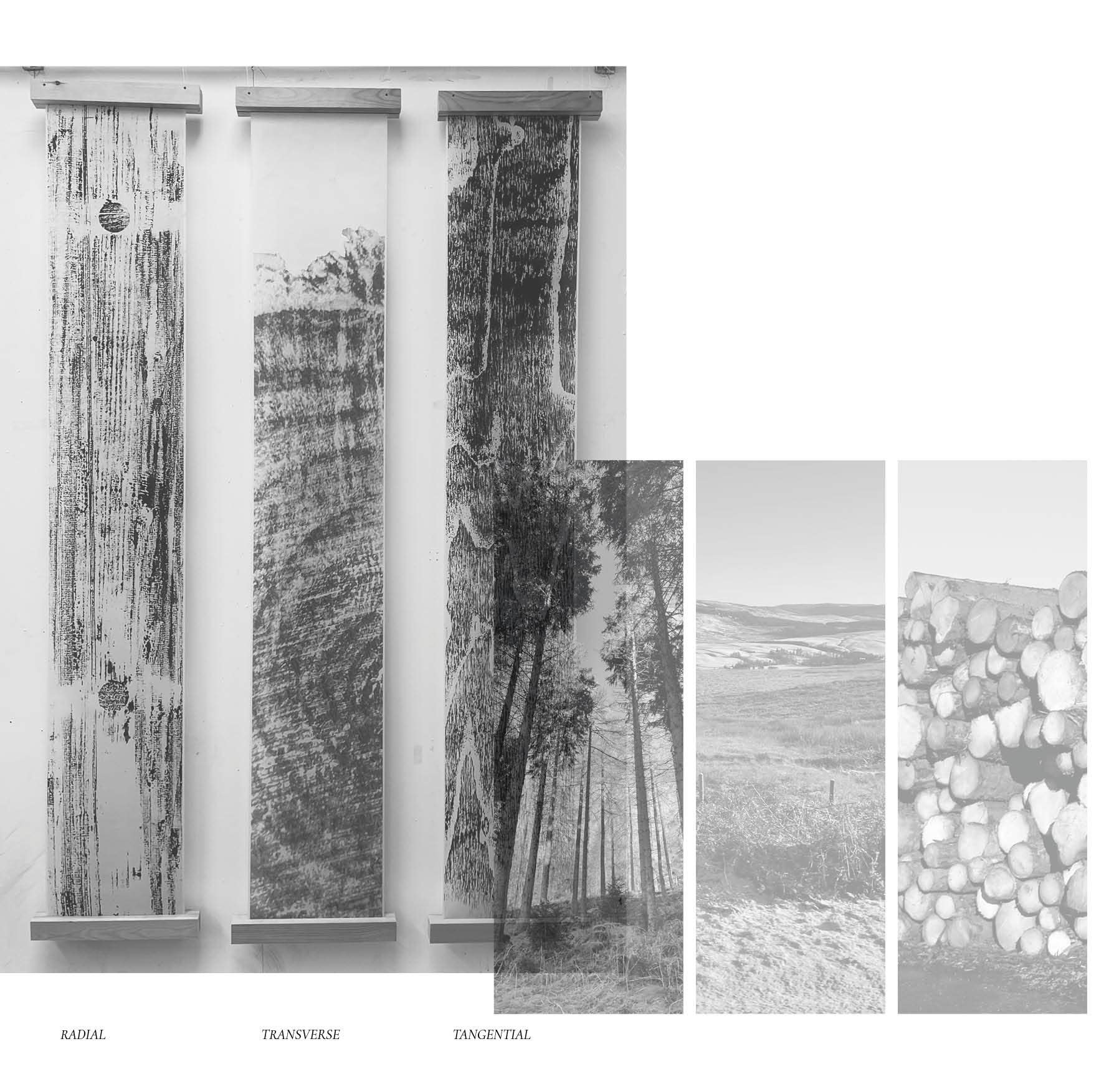 Group installation of the three cuts of wood 