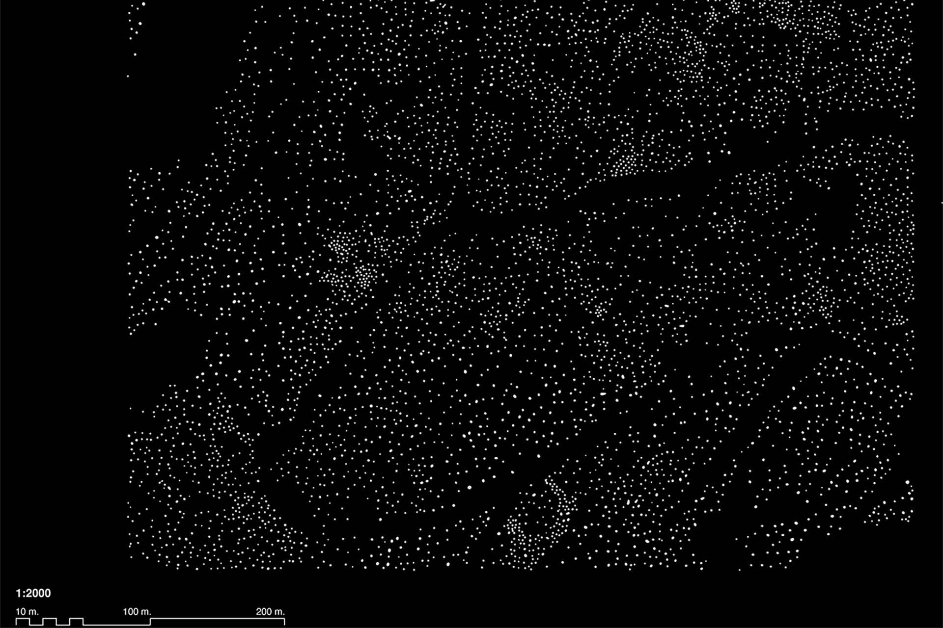 Plan of Cardrona Forest showing tree distribution and forest management strategies.
