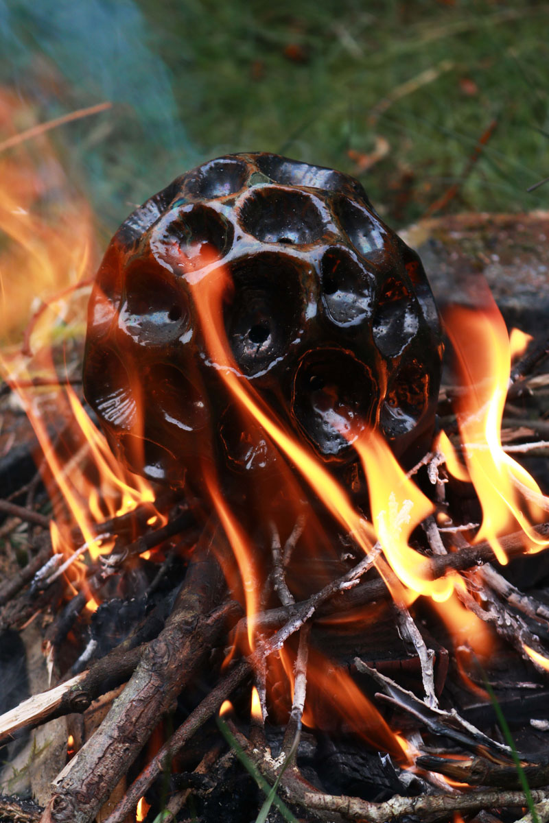 Ceramic Limpet Brain on Wood Fire