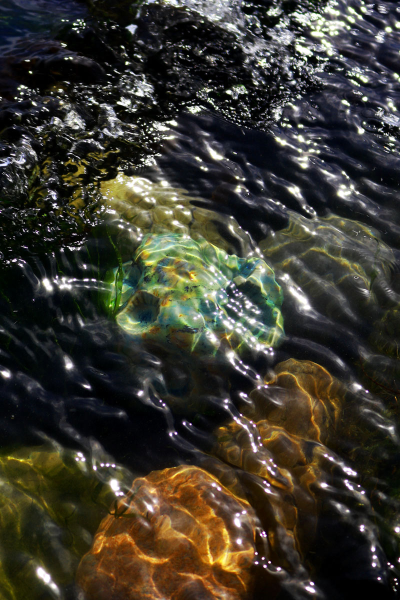 Ceramic Limpet Orb beneath rippling water 