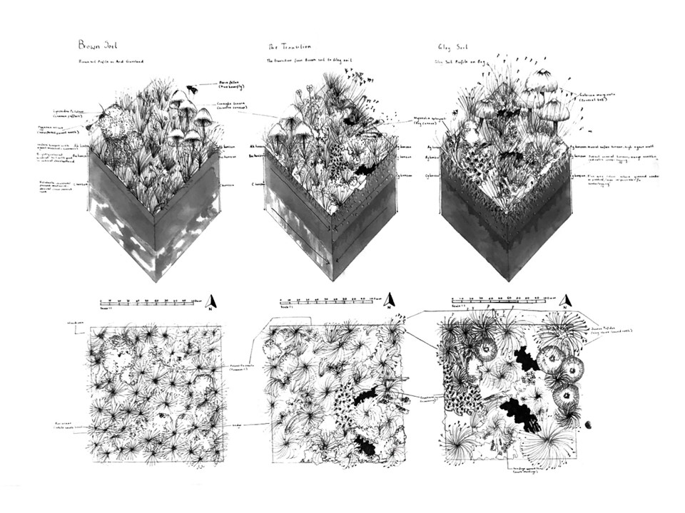 Axonometric 1:1 Soil Habitat Explorations within The Dumbrae Estate, created using Mixed Media