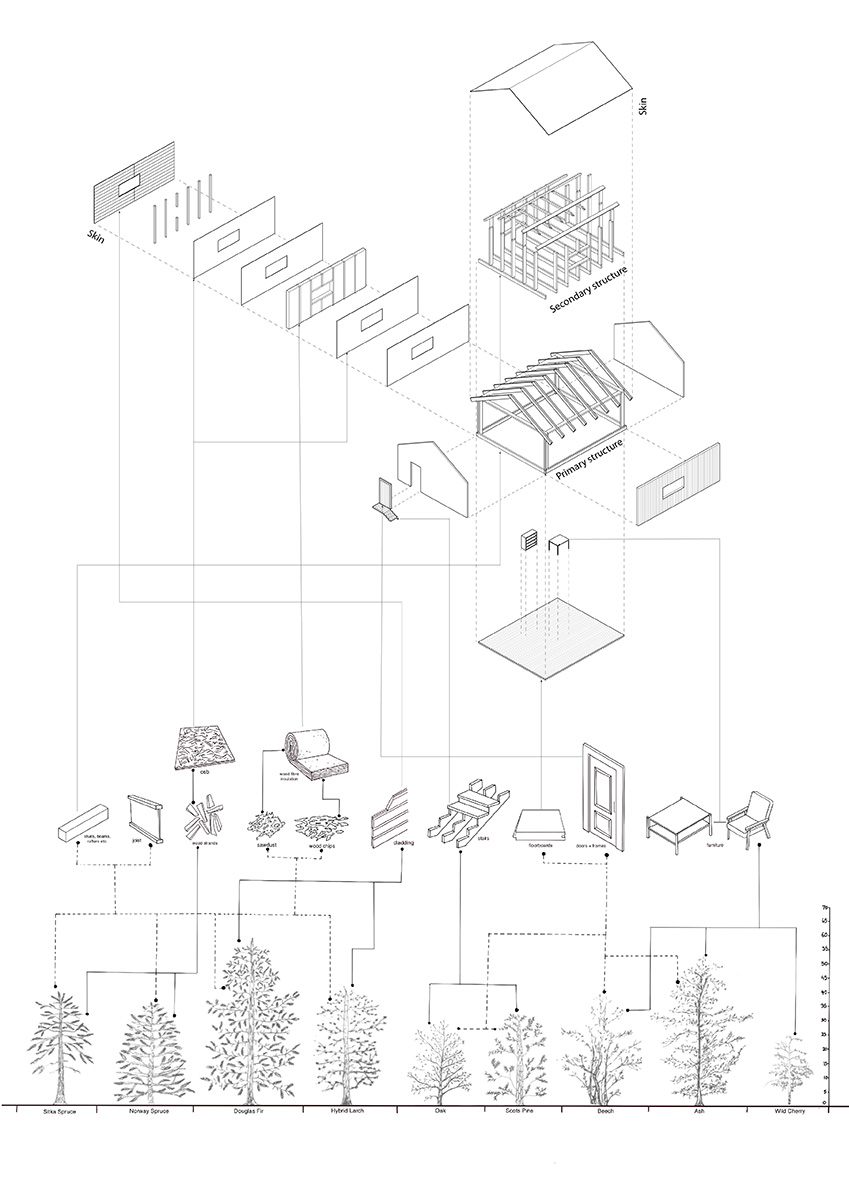Timber species and material uses