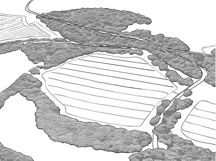 The future farmland year 1