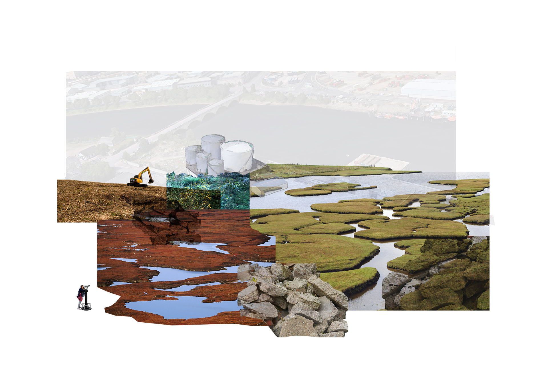 Act IV - A Vision of the Wetlands - Collage