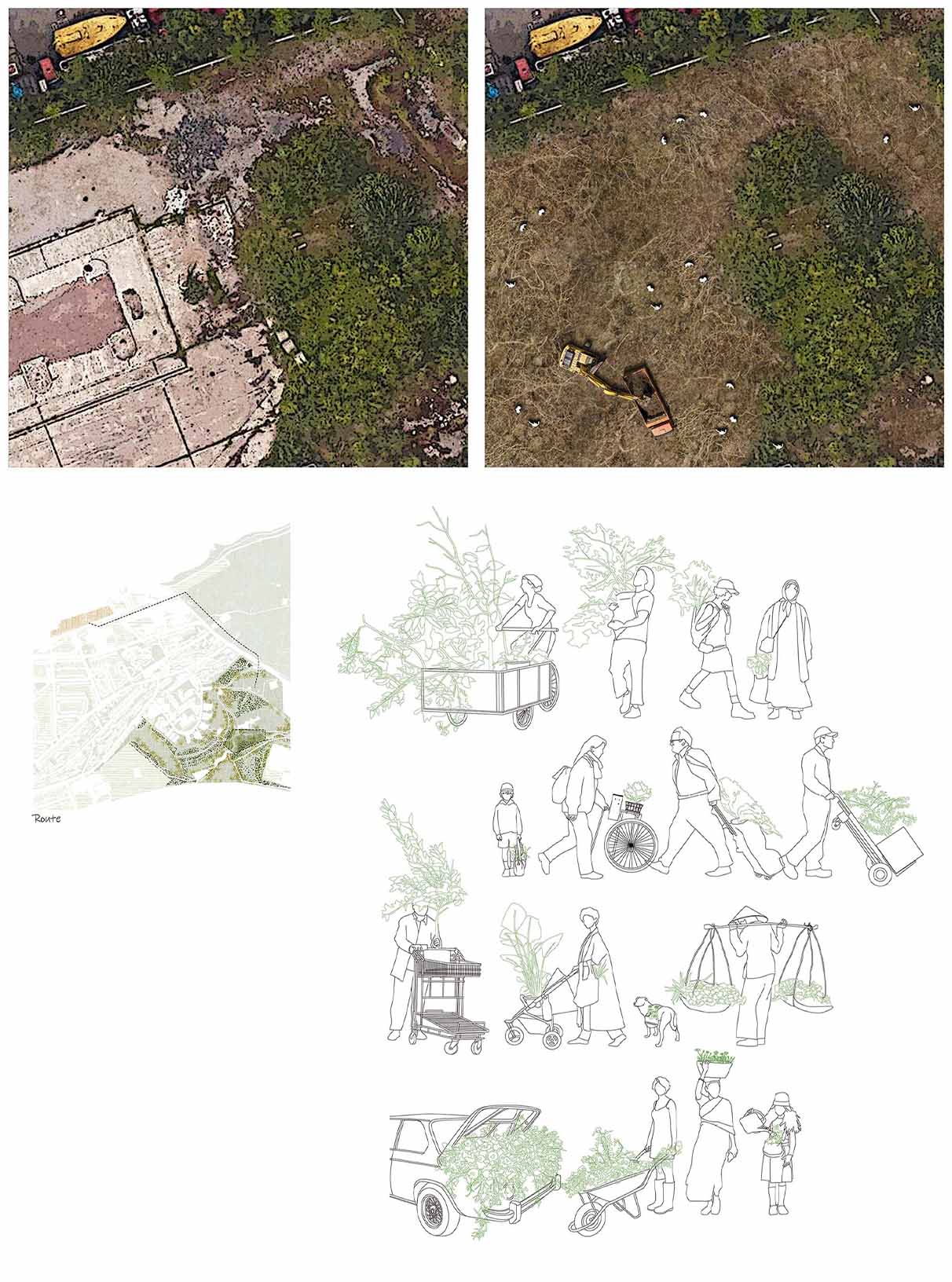 Plant migration programme