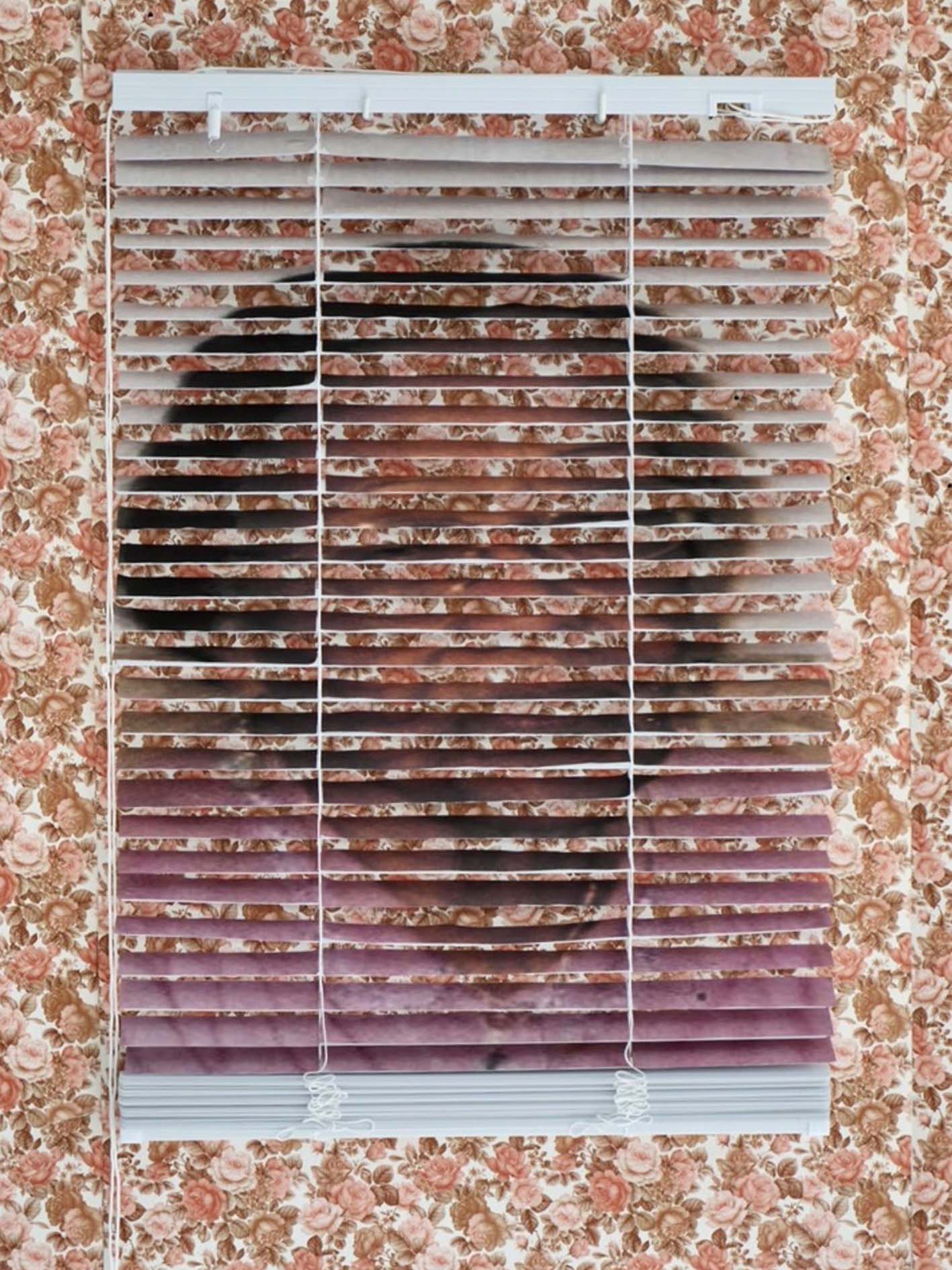 Venetian blind upon wallpaper