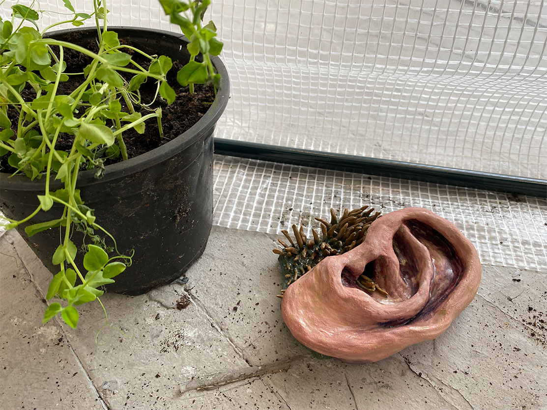 Image of a plant and a large ceramic ear with grass growing through its ear hole. 
