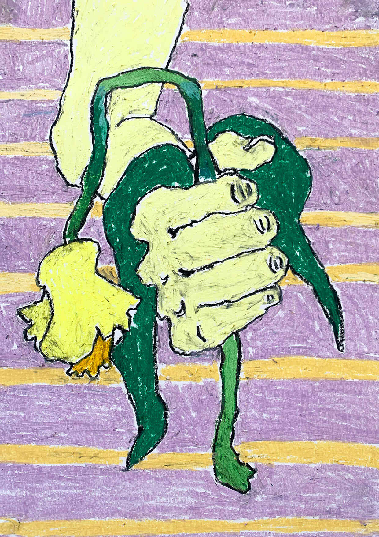 Hand holds out dying and cut daffodil in front of yellow and purple striped backdrop.