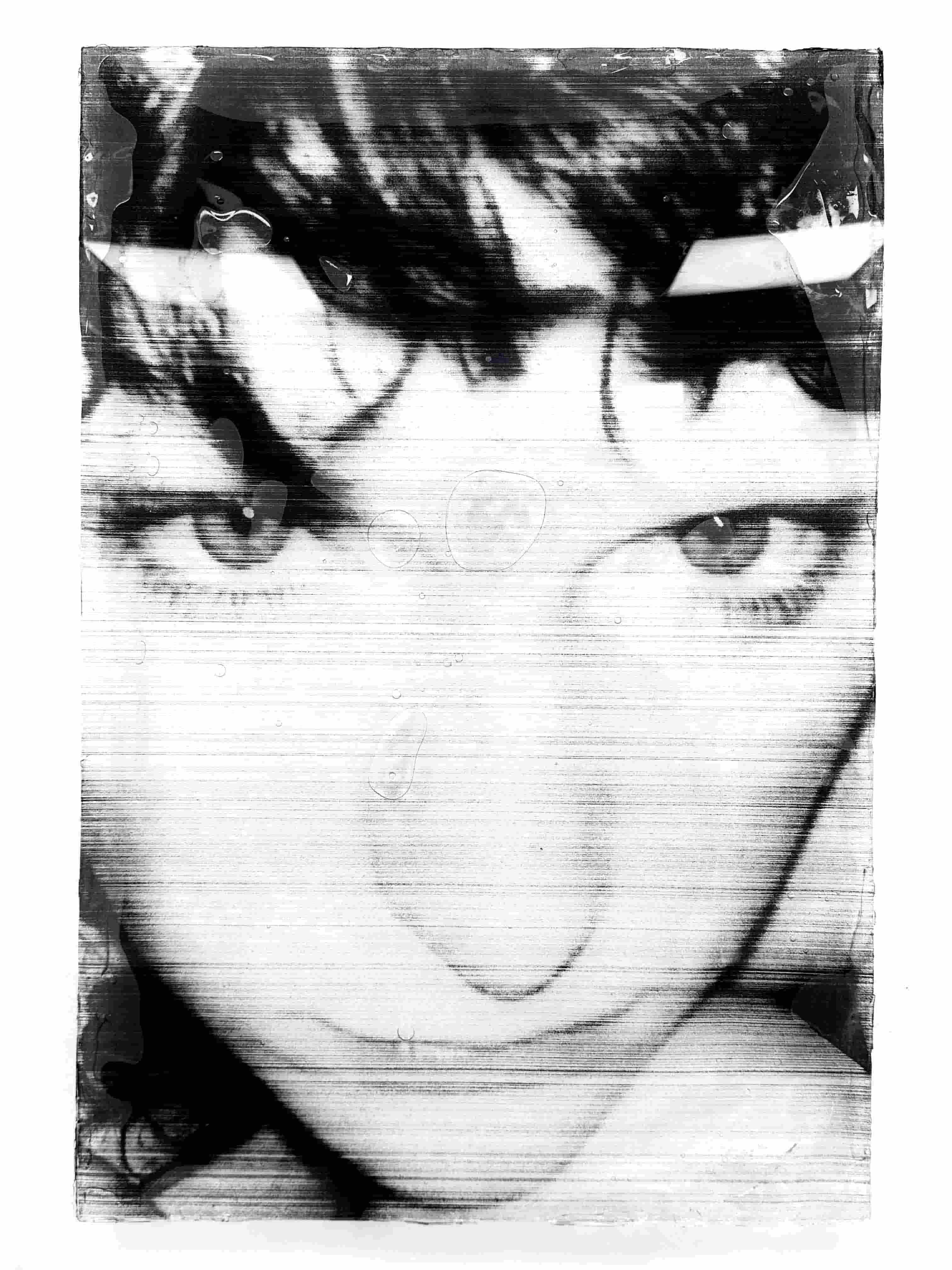 Molly Mavor, DETRITUS #16, 50cm x 70cm x 3cm, acrylic, gel wax, acetate, ink, 2024.