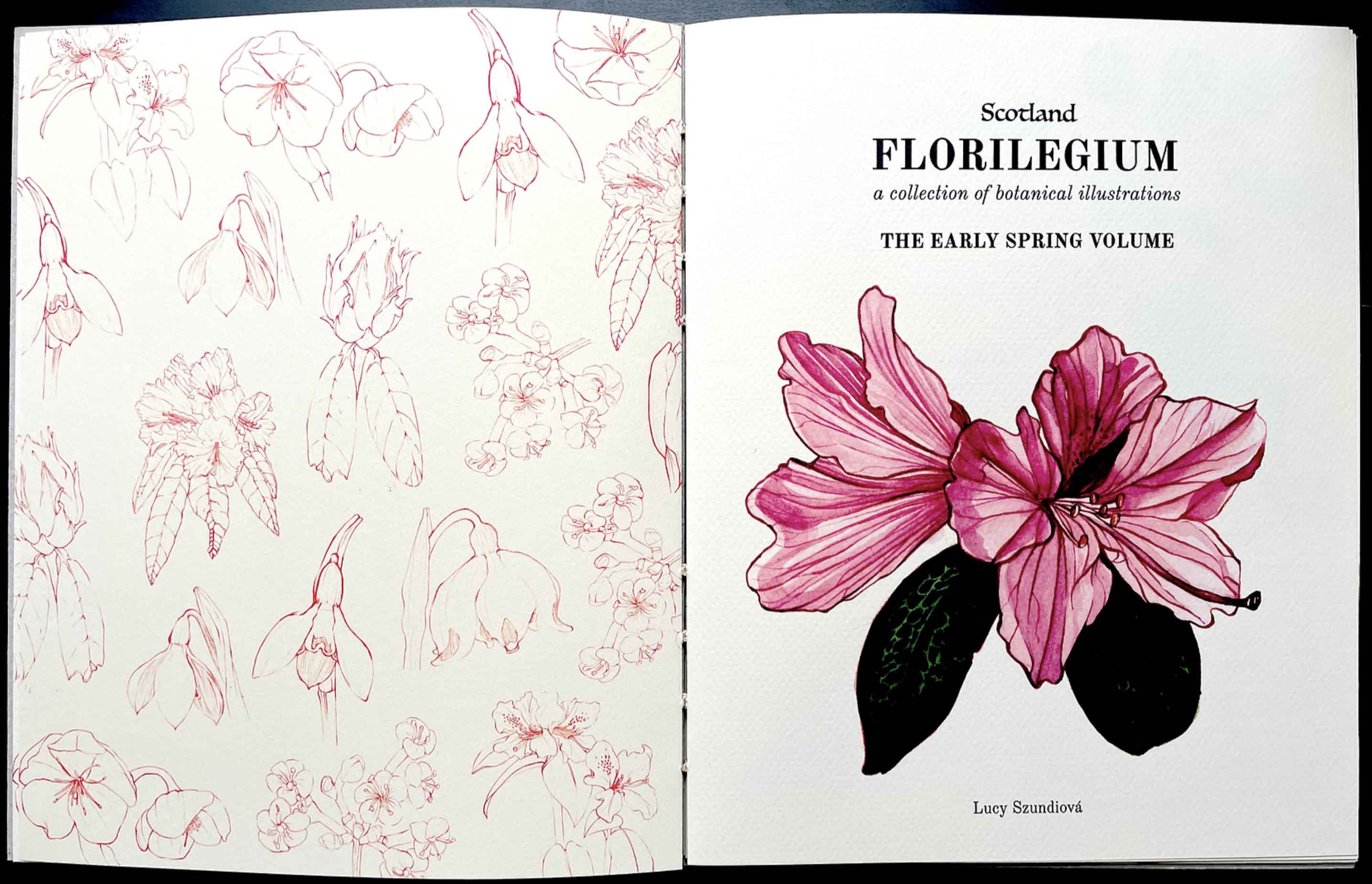 florilegium book spread 4