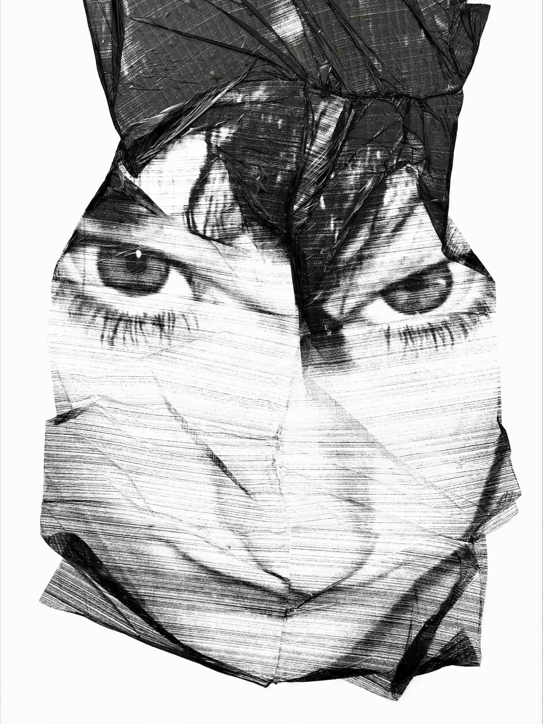 Molly Mavor, DETRITUS #4, 50cm x 100cm x 2cm, plywood, spray paint, acetate transfer, ink, 2024.