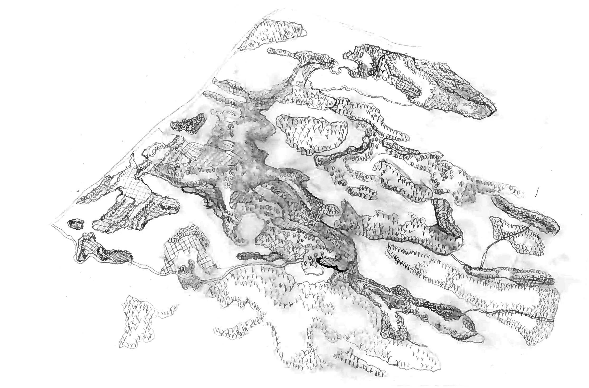 Process Ⅱ: Mottled vegetation
