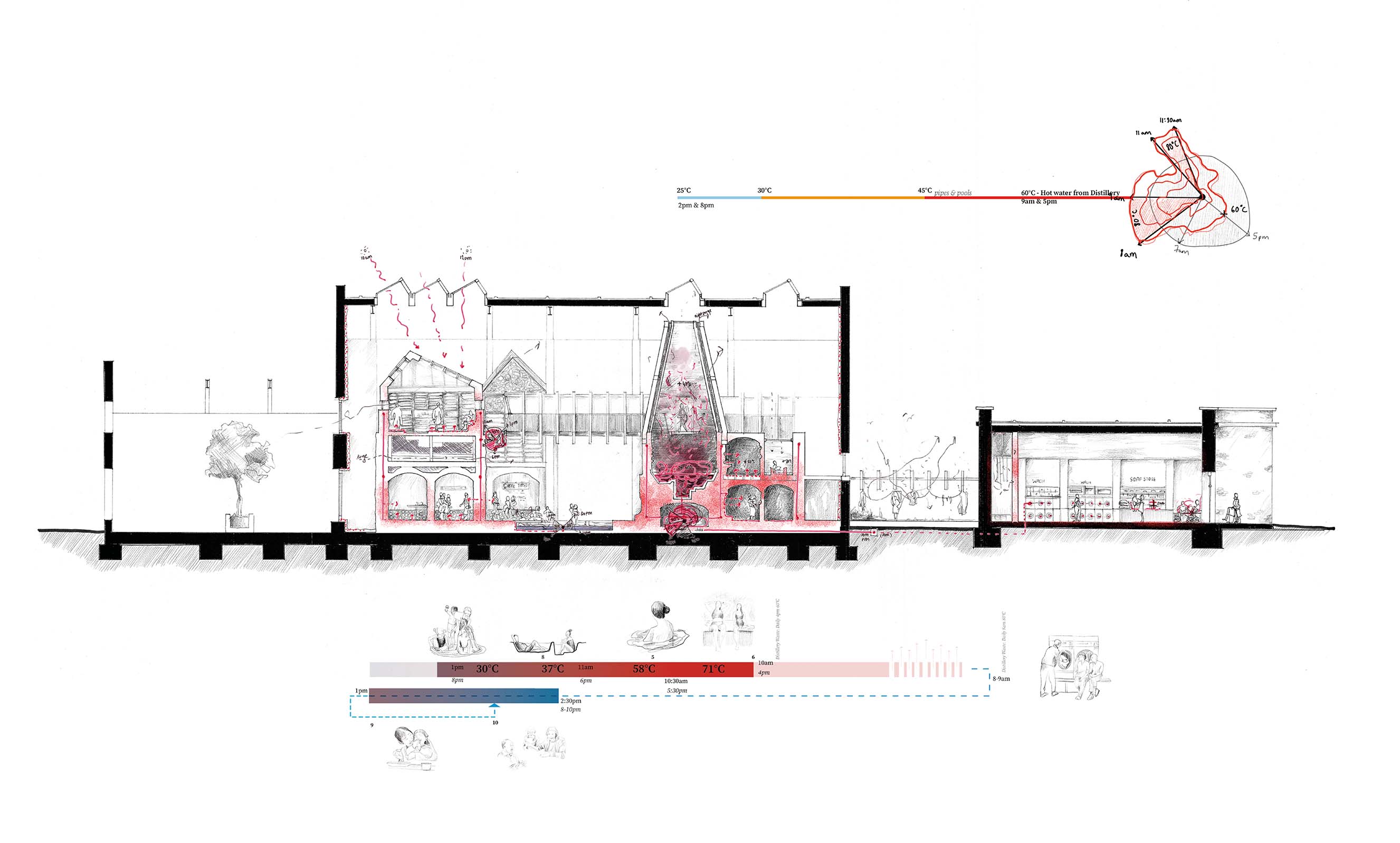 Section of the Bathhouse, showing the caladium and hot water reuse cycles