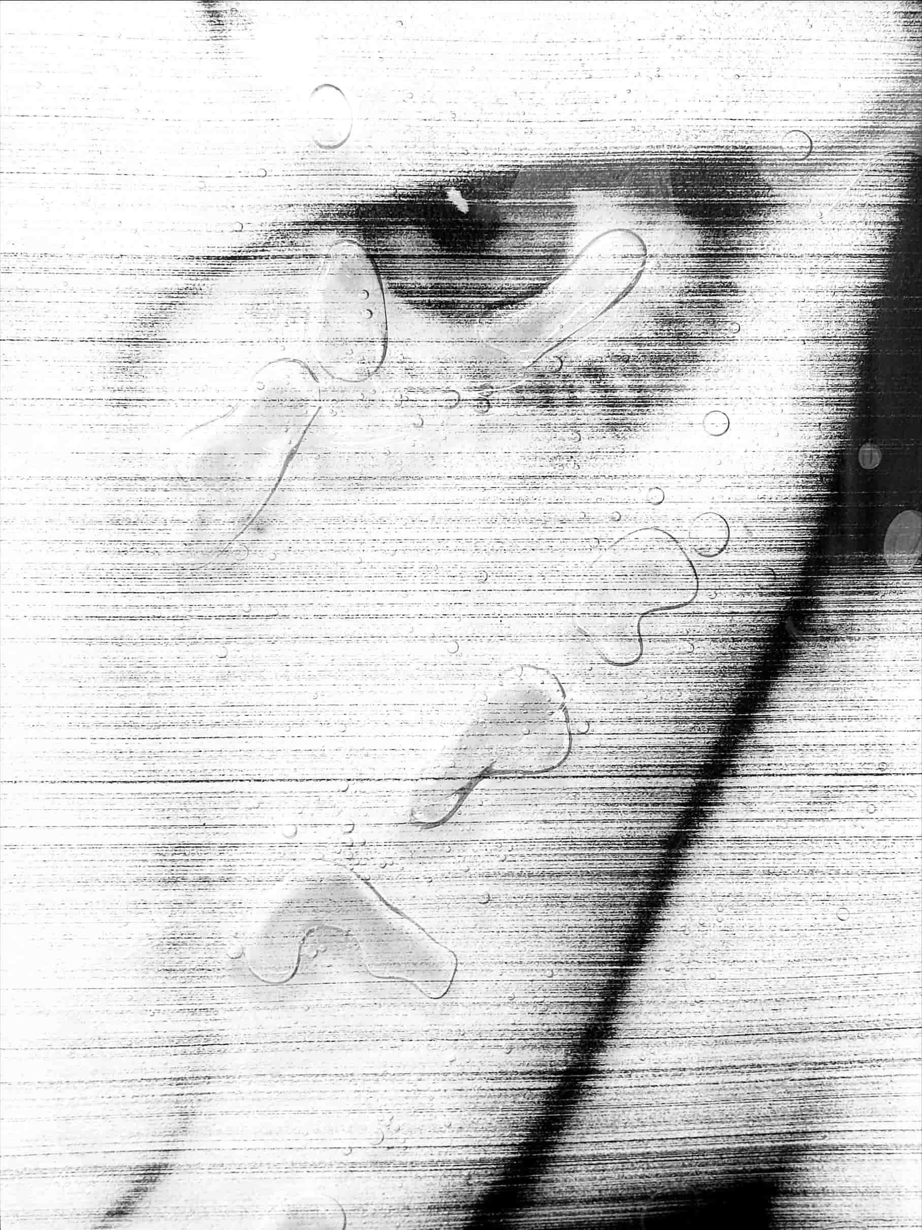 Molly Mavor, DETRITUS #16, 50cm x 70cm x 3cm, acrylic, gel wax, acetate, ink, 2024.