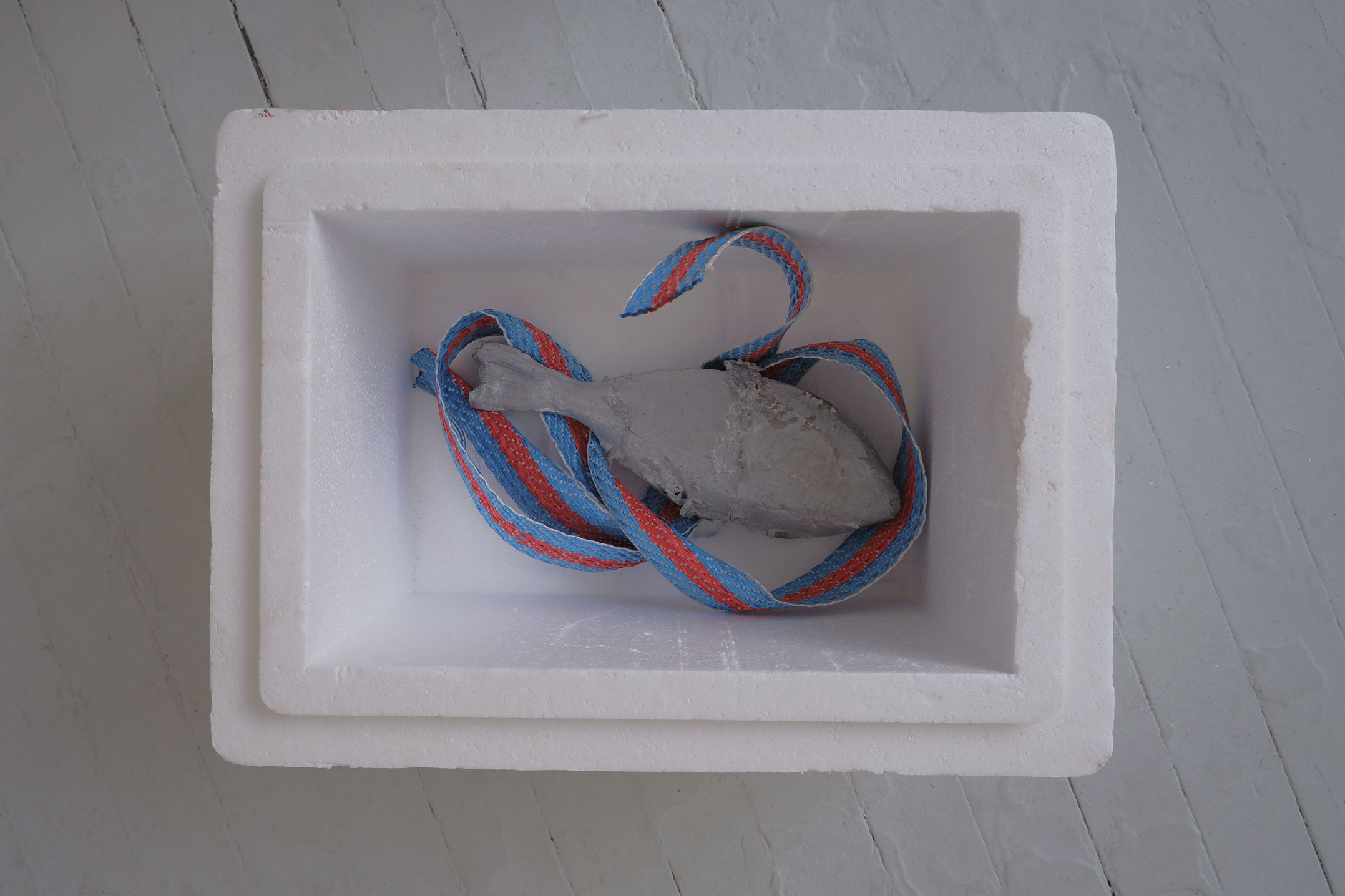 A silver cast aluminium sea bream and blue and red plastic strap in a white polystyrene box