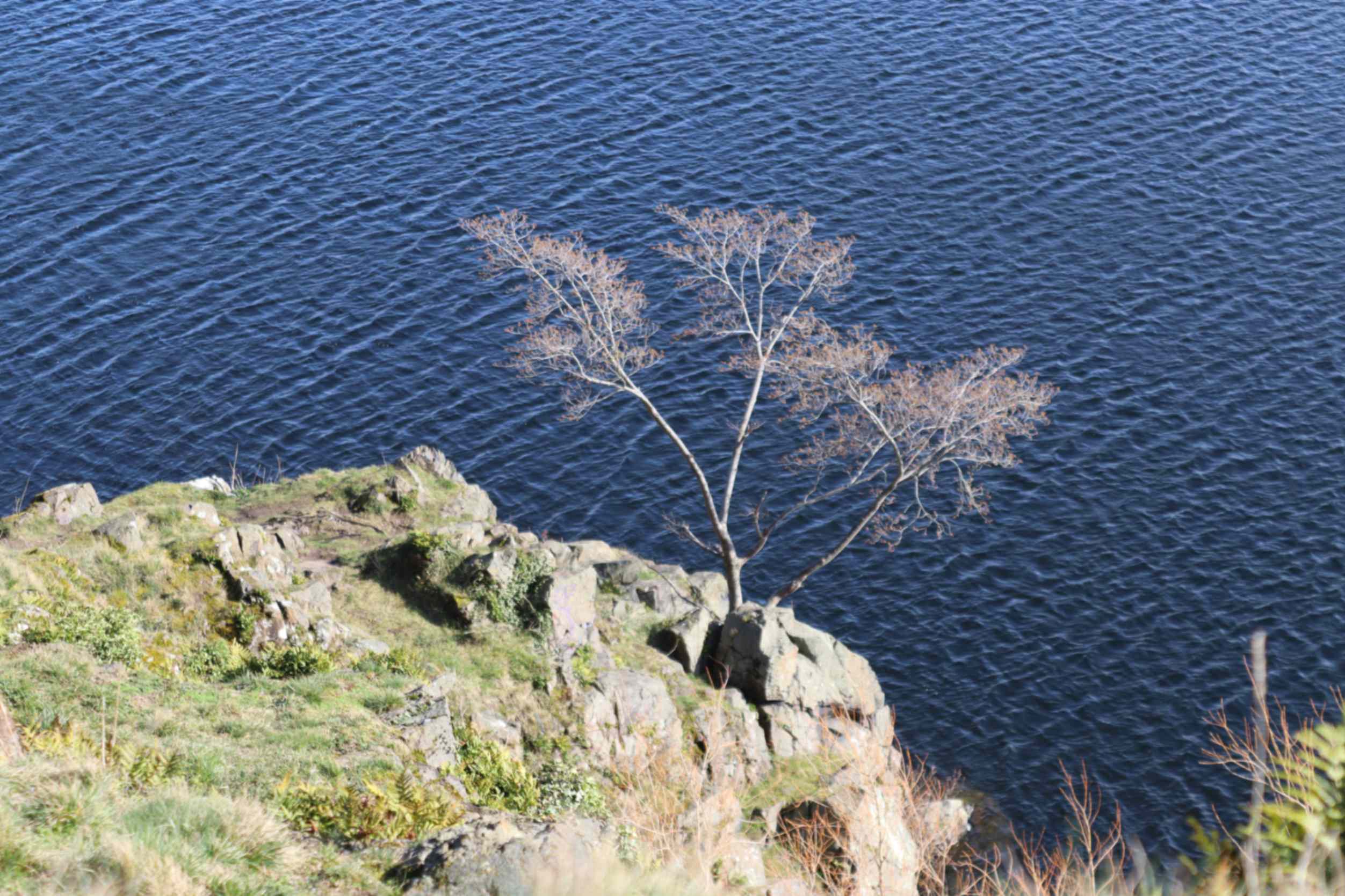 Duddingston Loch