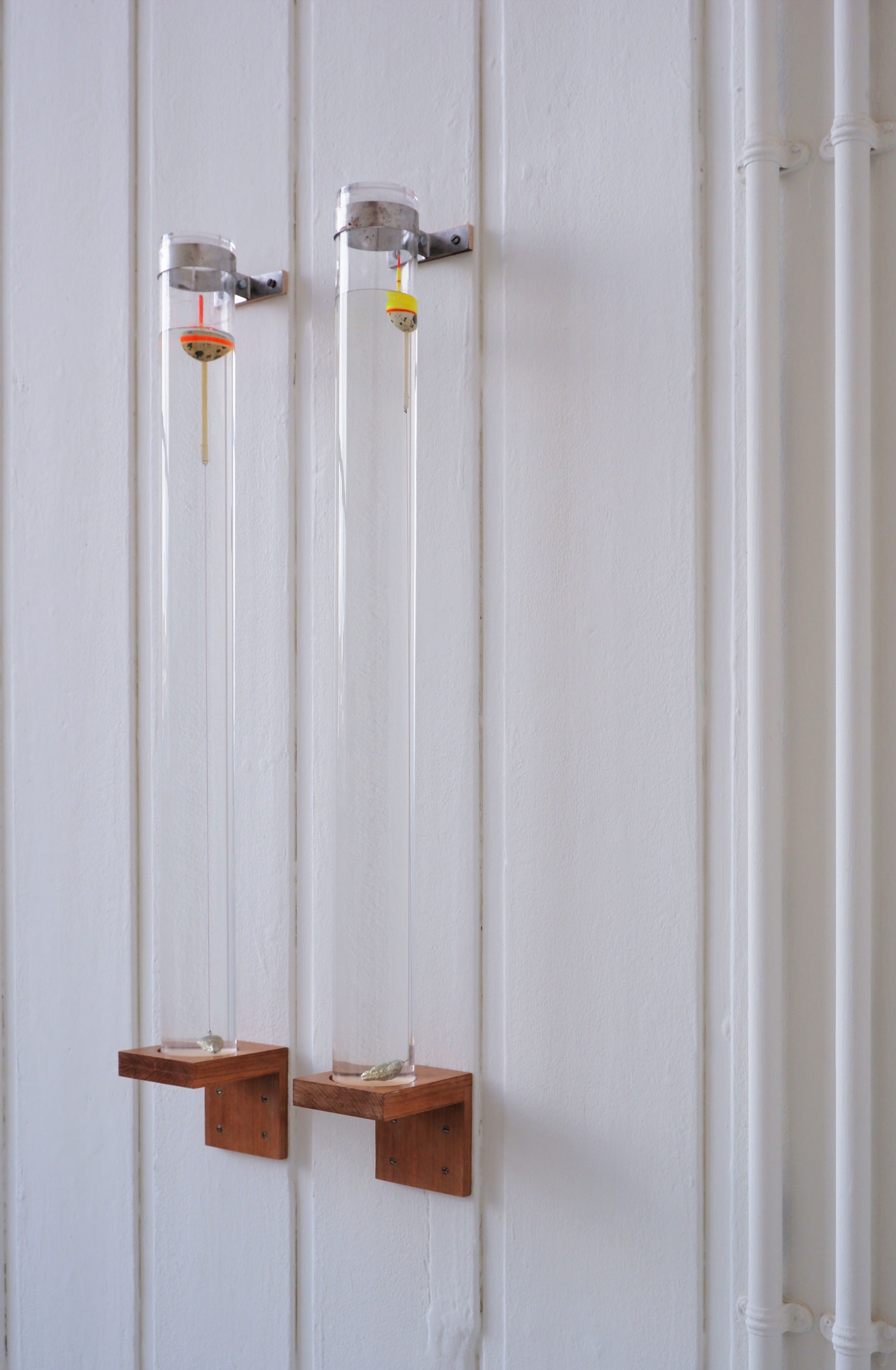 Two clear acrylic tubes mounted on a white wall, attached by a steel bracket and mounted on a wooden shelf. Each tube contains water in which floats one quail egg bobber attached with red fishing line to a pewter lead weight