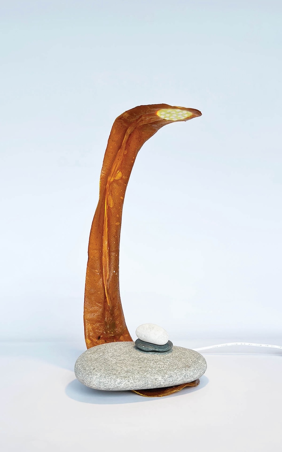 gelatin plastic LED lamp 