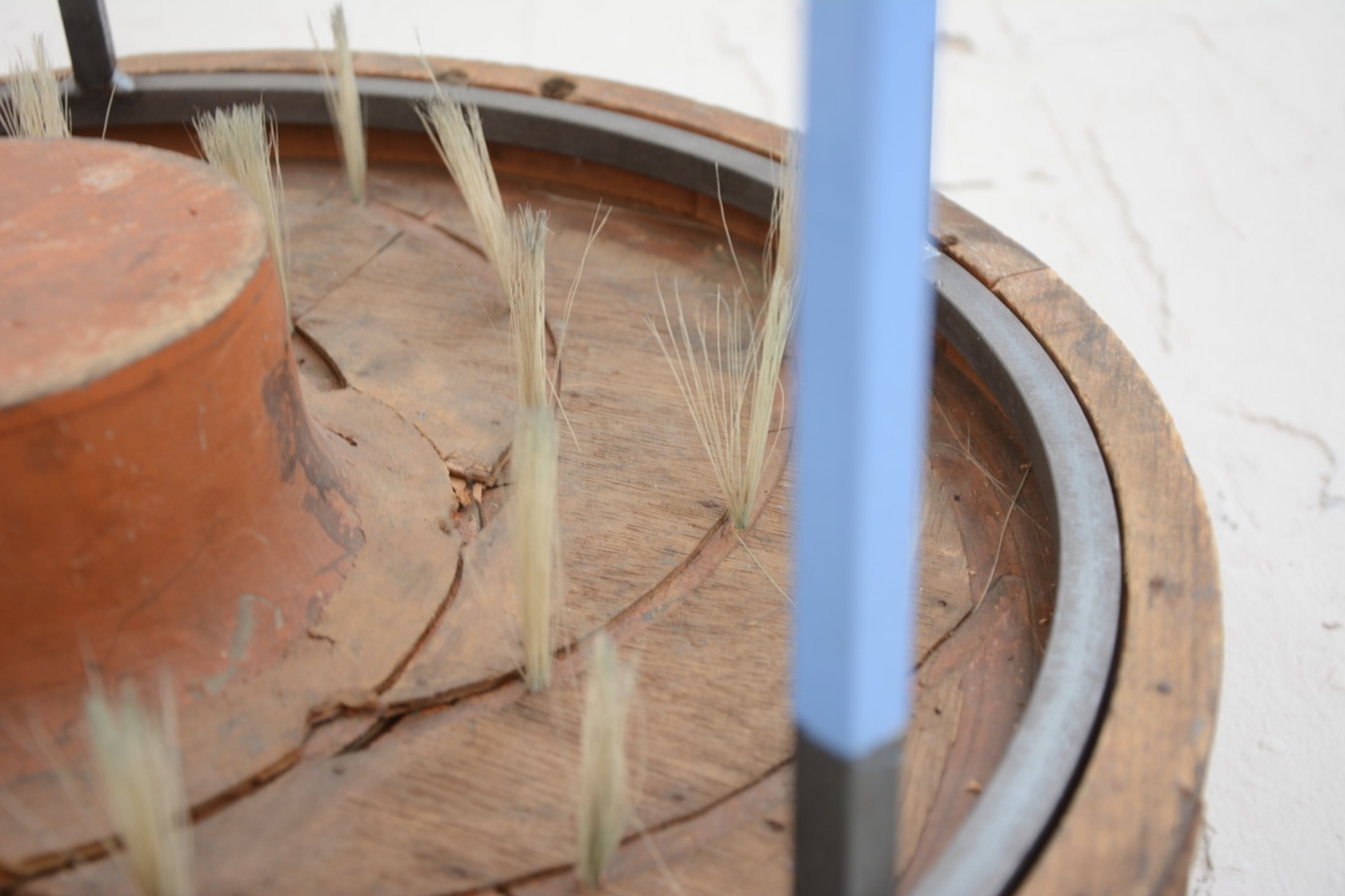  RING CATTLE FEEDER detail