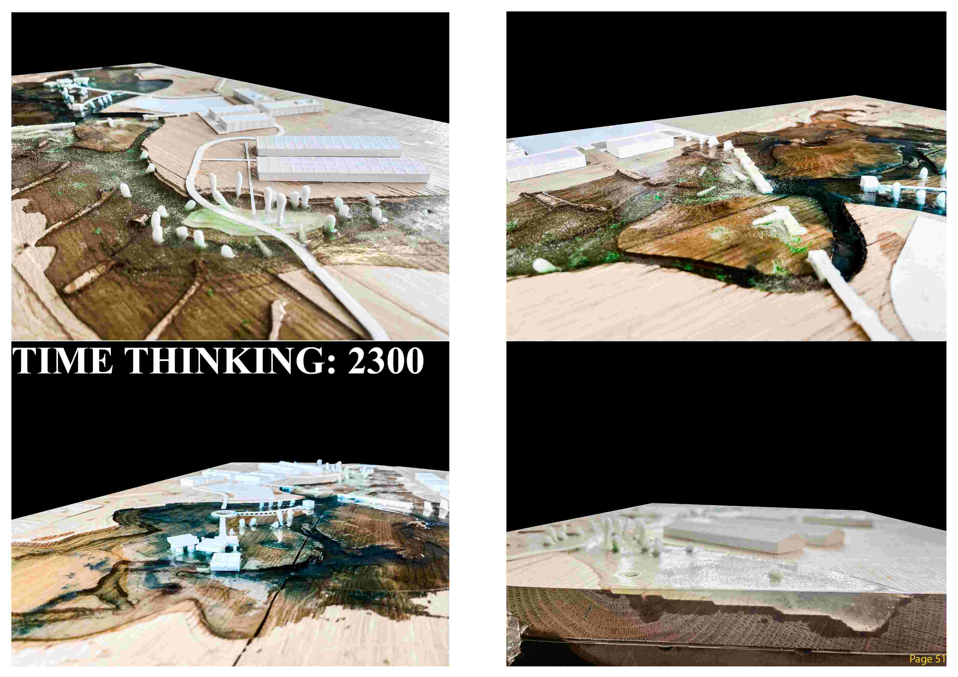 Model Details
