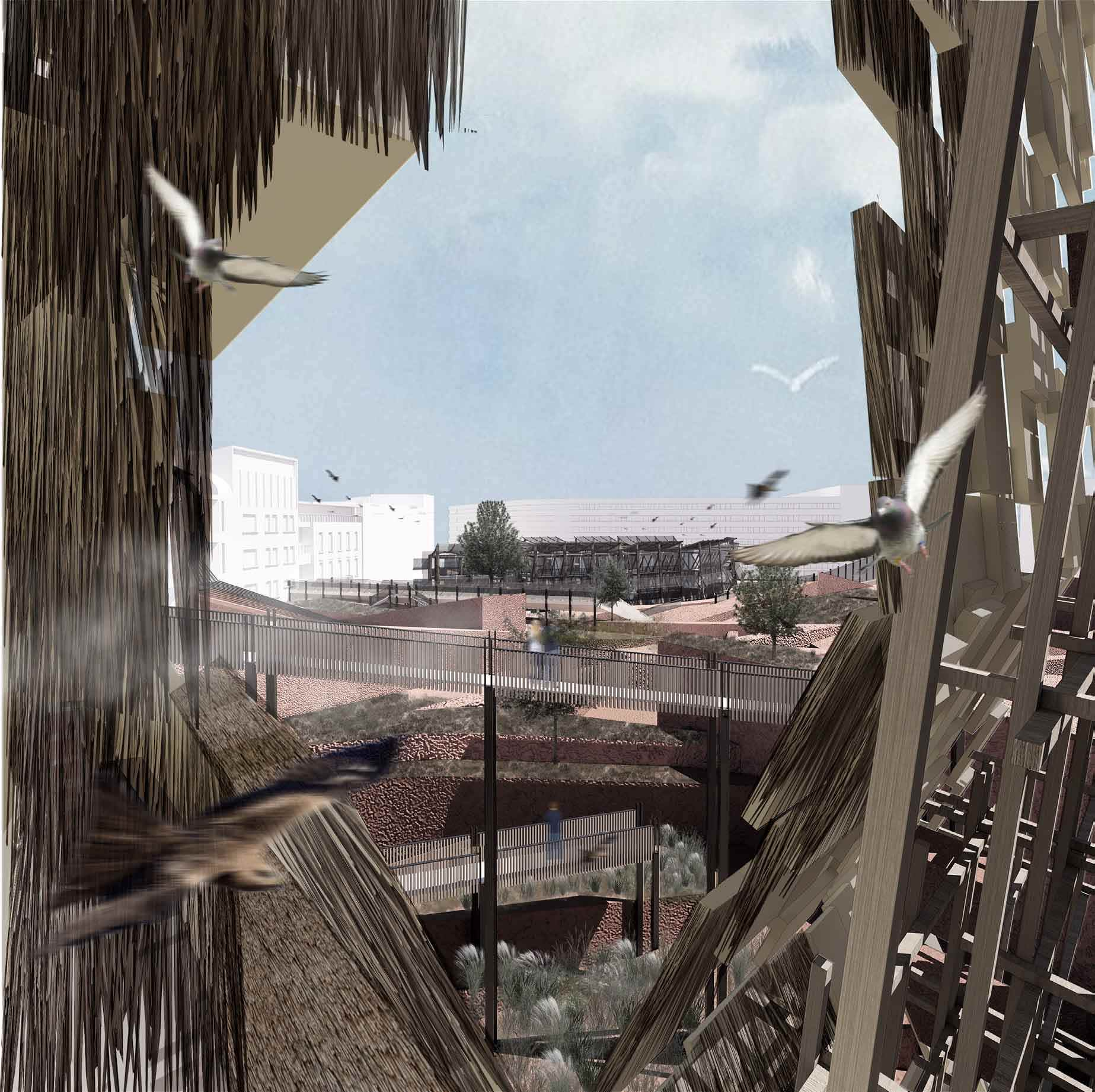 View from a Bird Nest