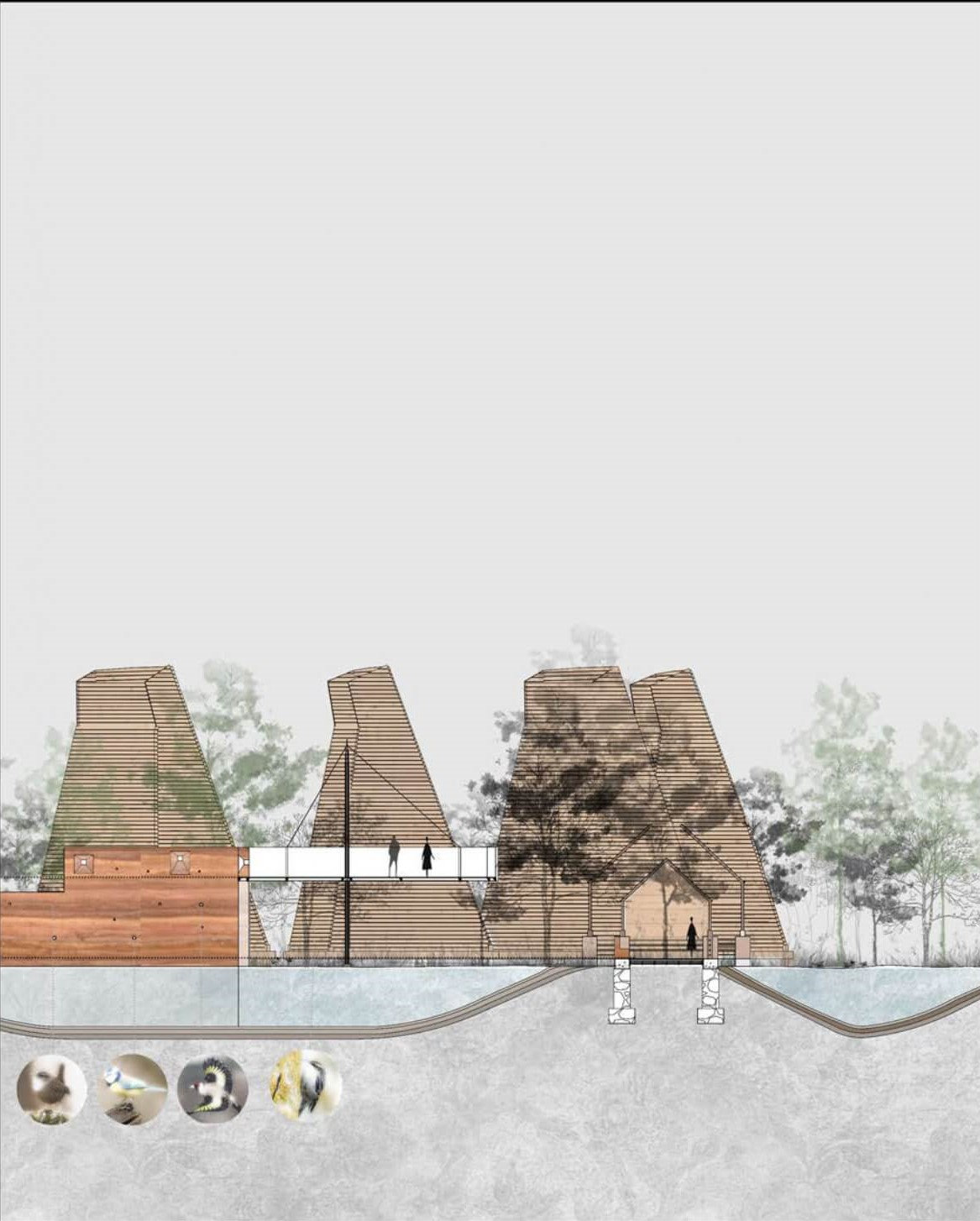 Section through elevated platform and bird watching area