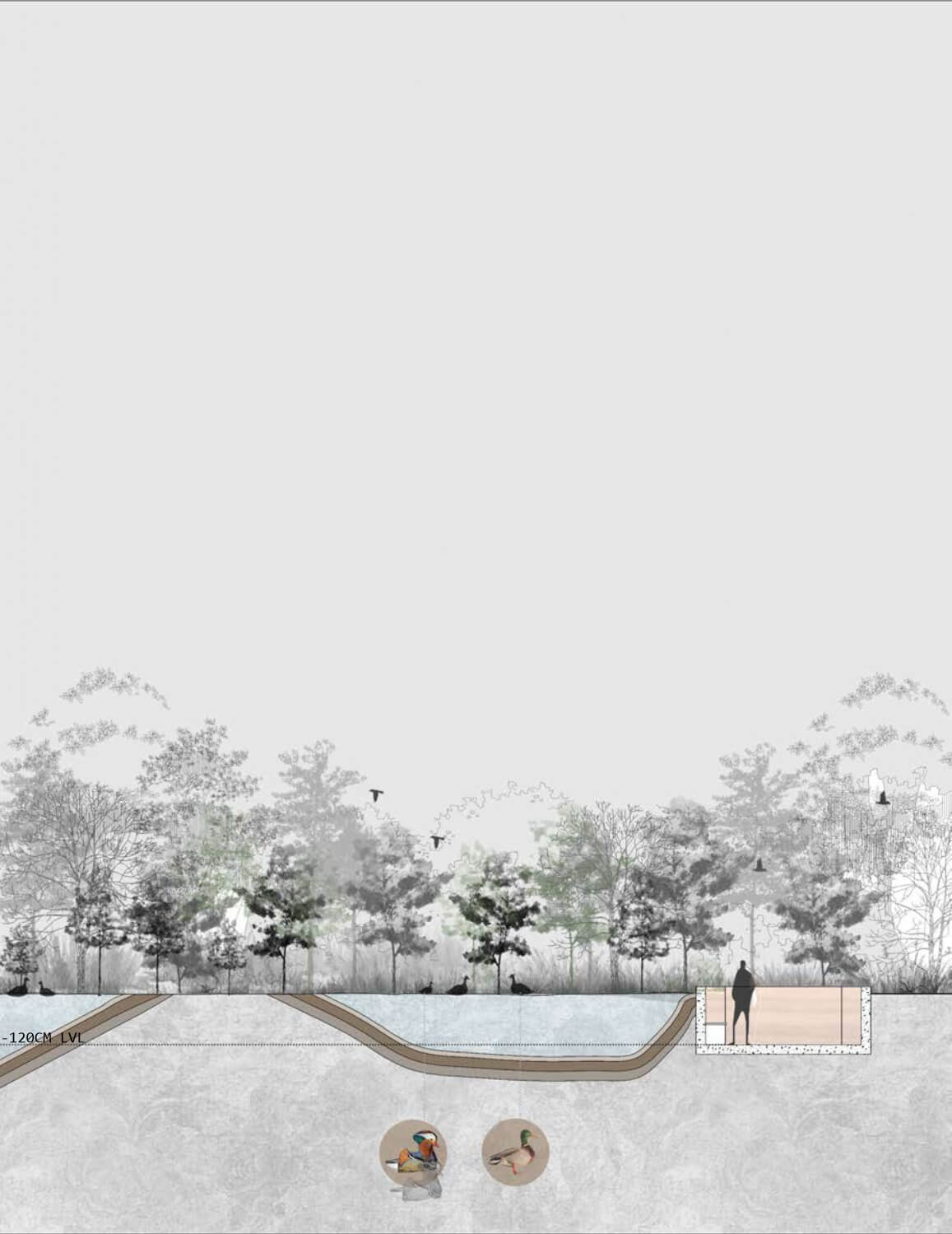 Section through water bird watching area