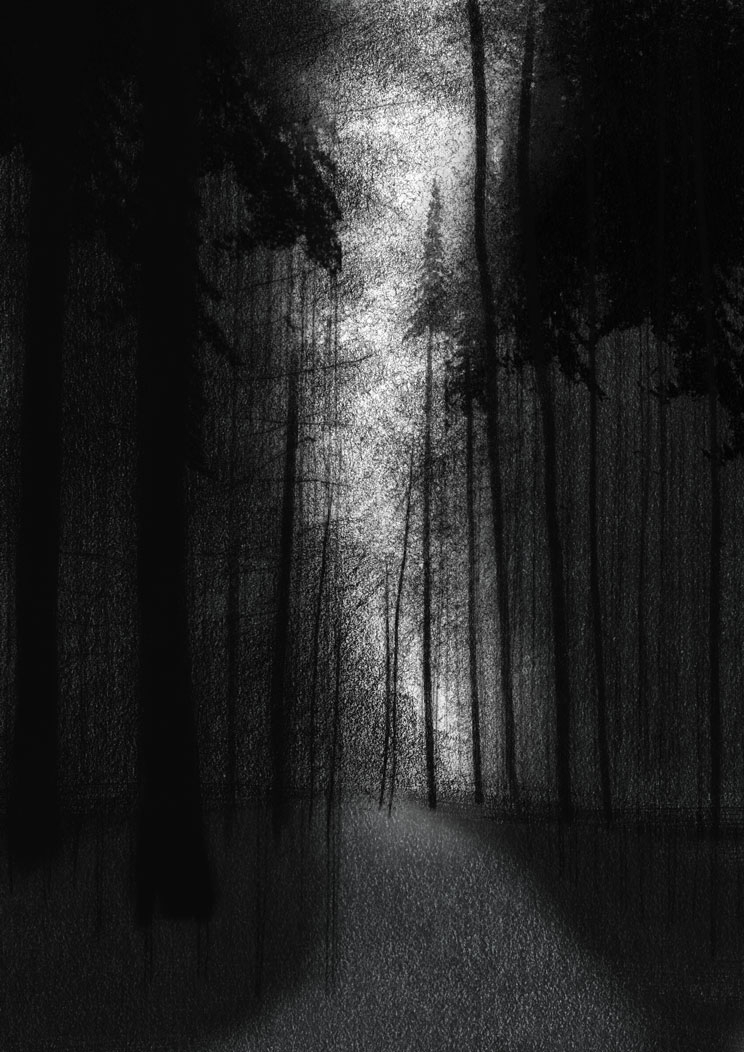 forest road