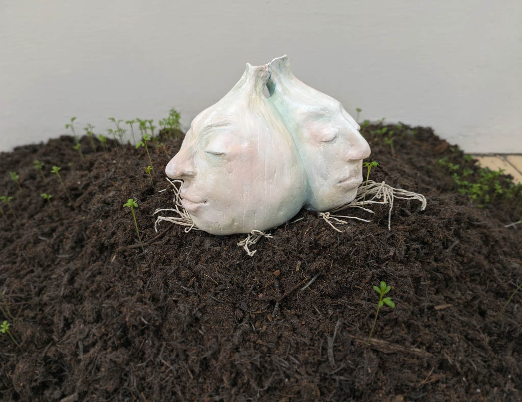 Conjoined garlic bulbs with faces