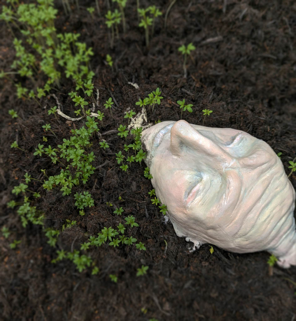 Bulb with a human face planted in soil, surrounded by sprouting cress