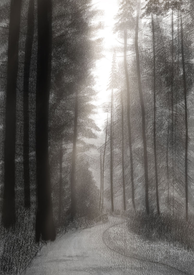 forest road