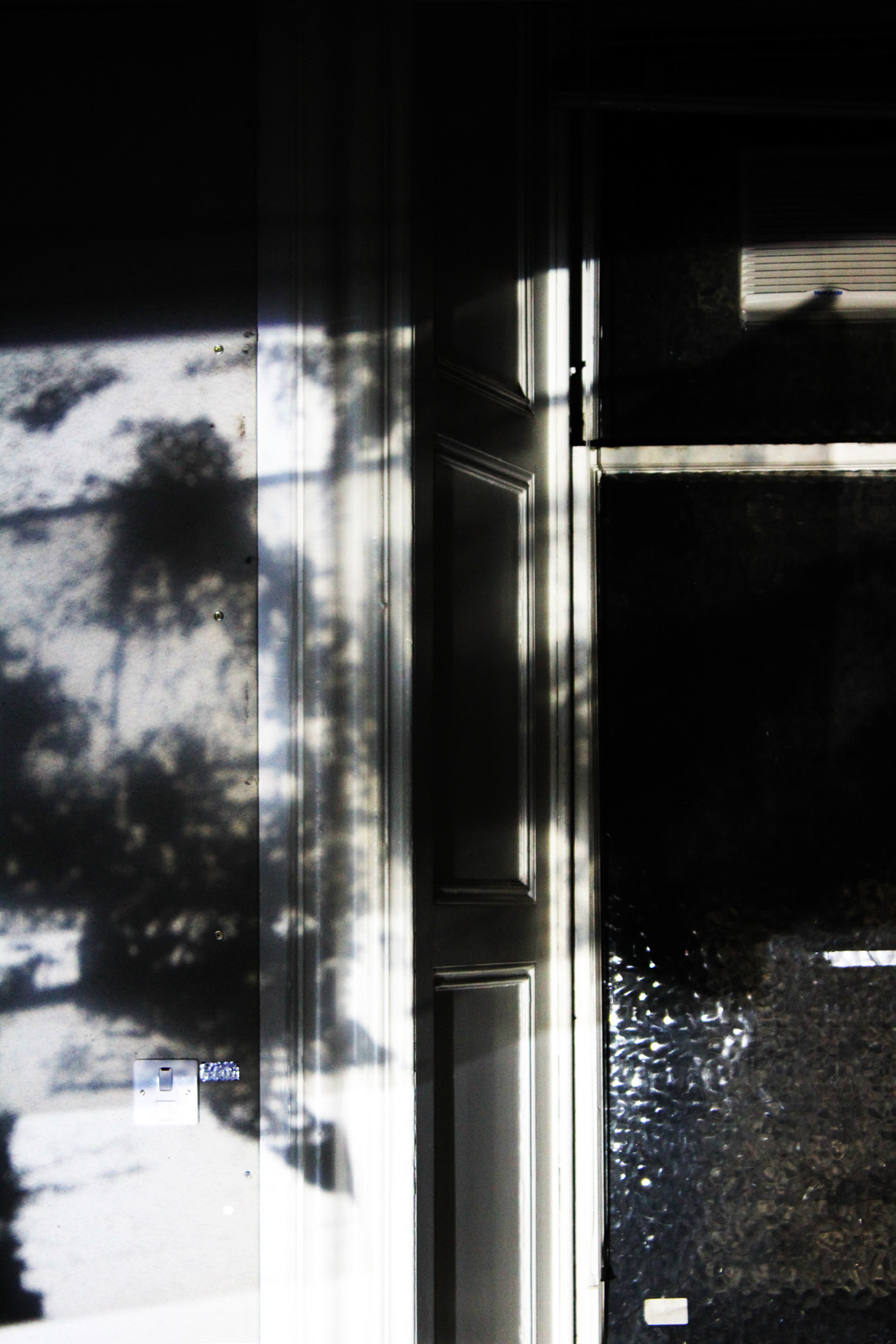 Shadow Capture: Shadow
