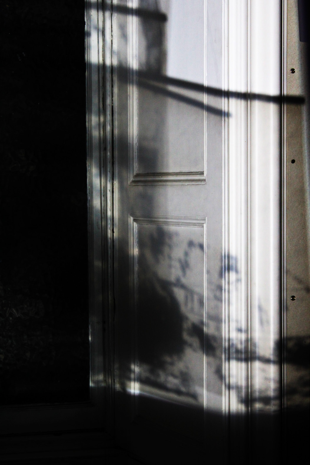 Shadow Capture: Shadow
