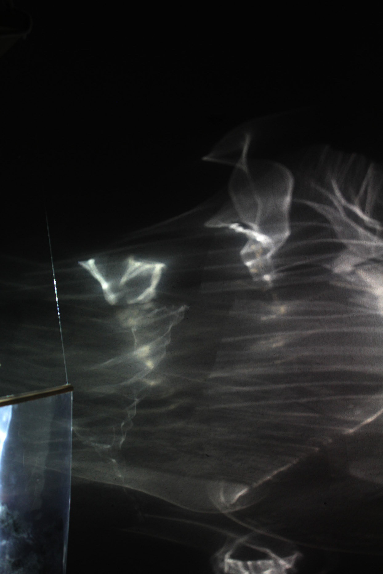 Shadow Capture: Refractions