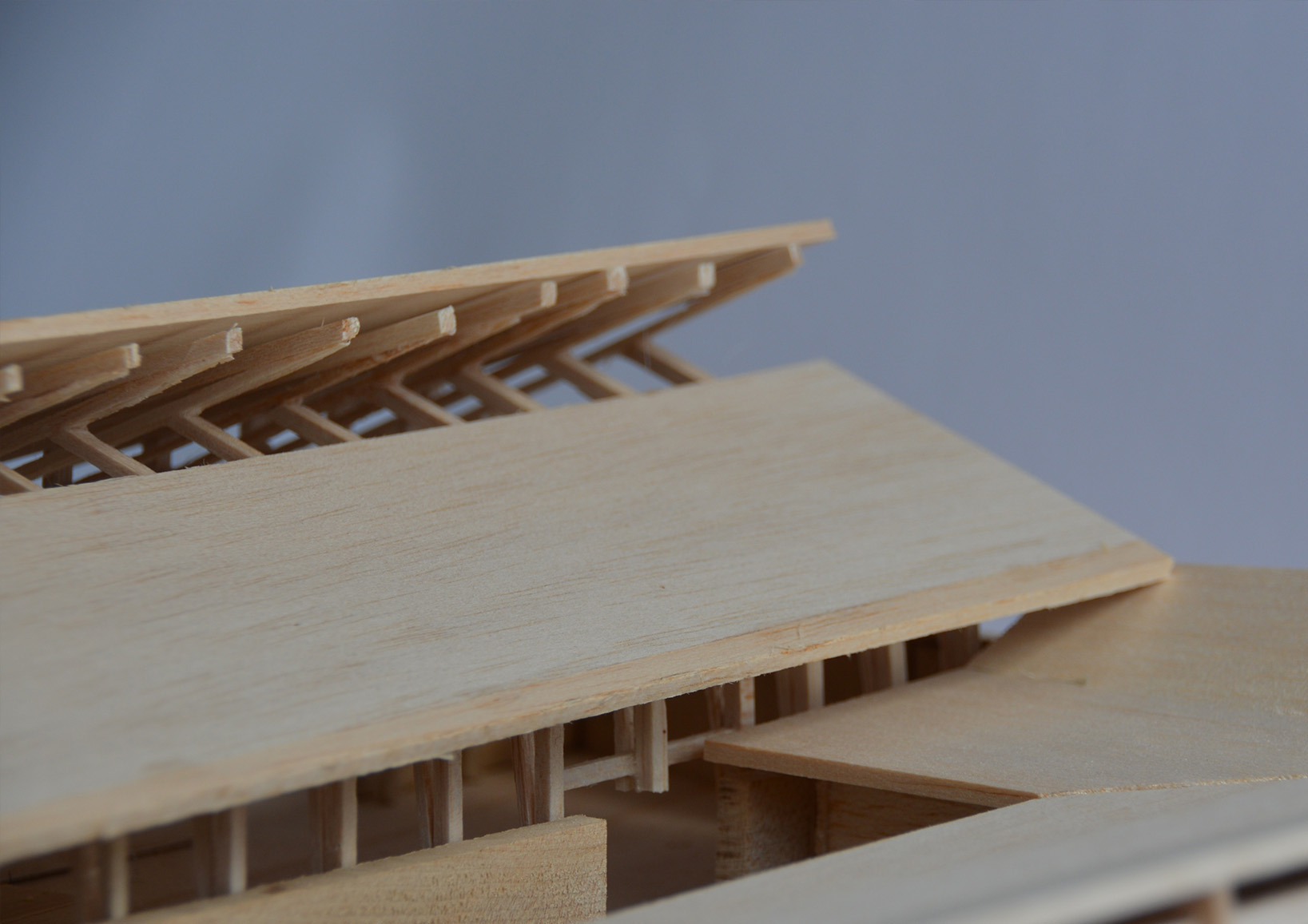 Construction Hall model photo