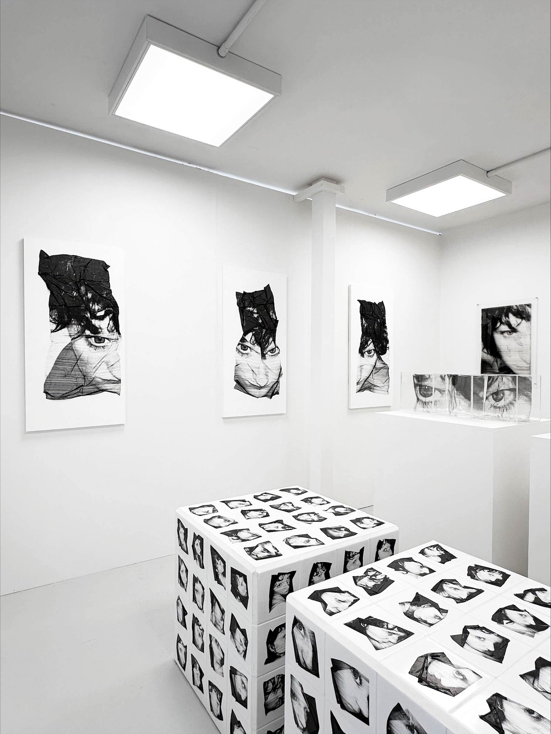 Molly Mavor, DETRITUS series