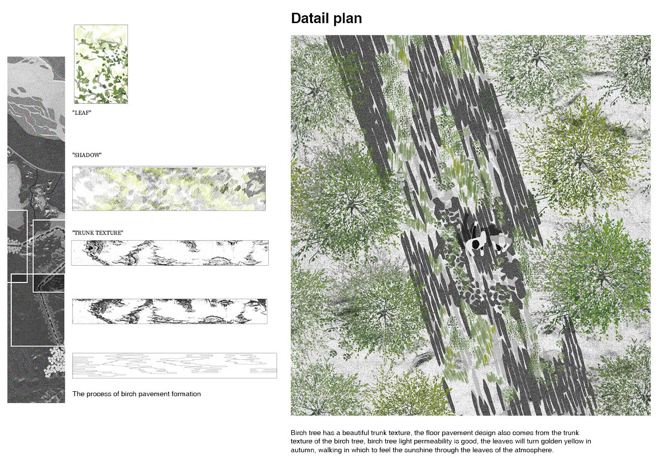 Birch tree has a beautiful trunk texture, the floor pavement design also comes from the trunk texture of the birch tree, birch tree light permeability is good, the leaves will turn golden yellow in autumn, walking in which to feel the sunshine through the leaves of the atmosphere.