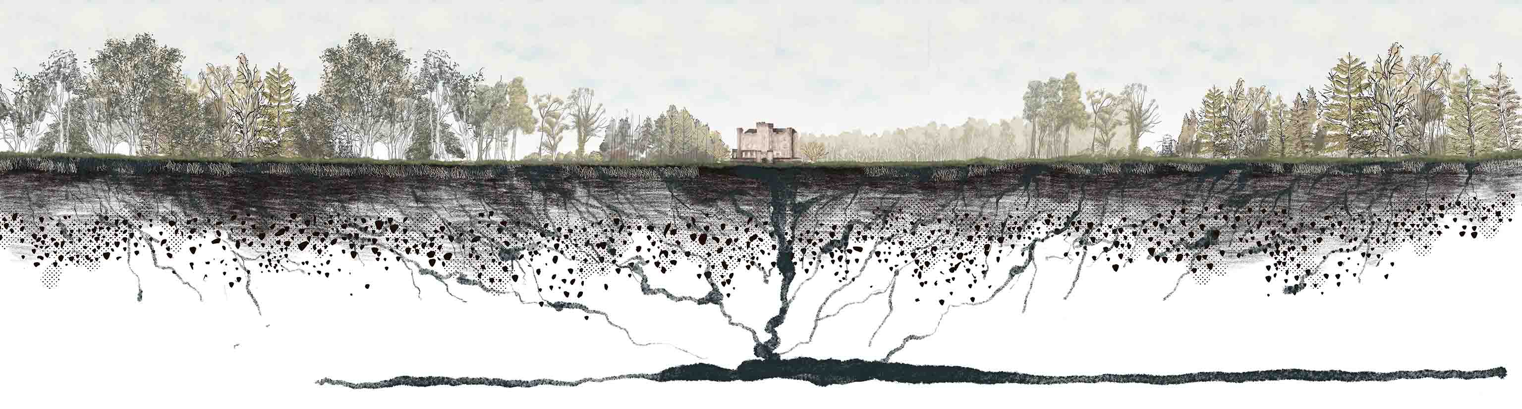 Status of natural conditions of the site