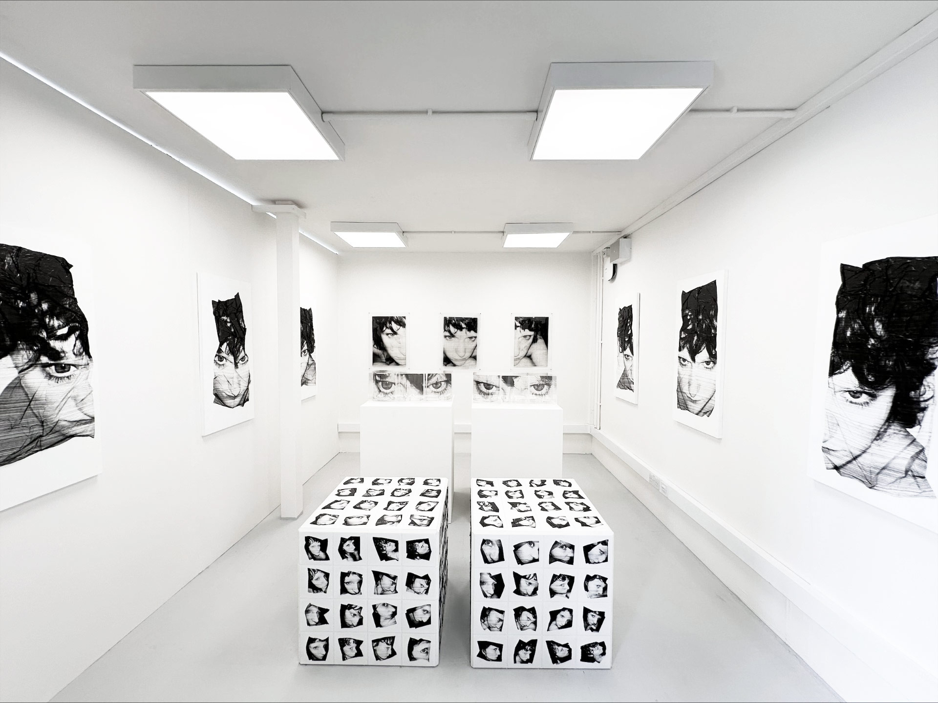 Molly Mavor, DETRITUS series