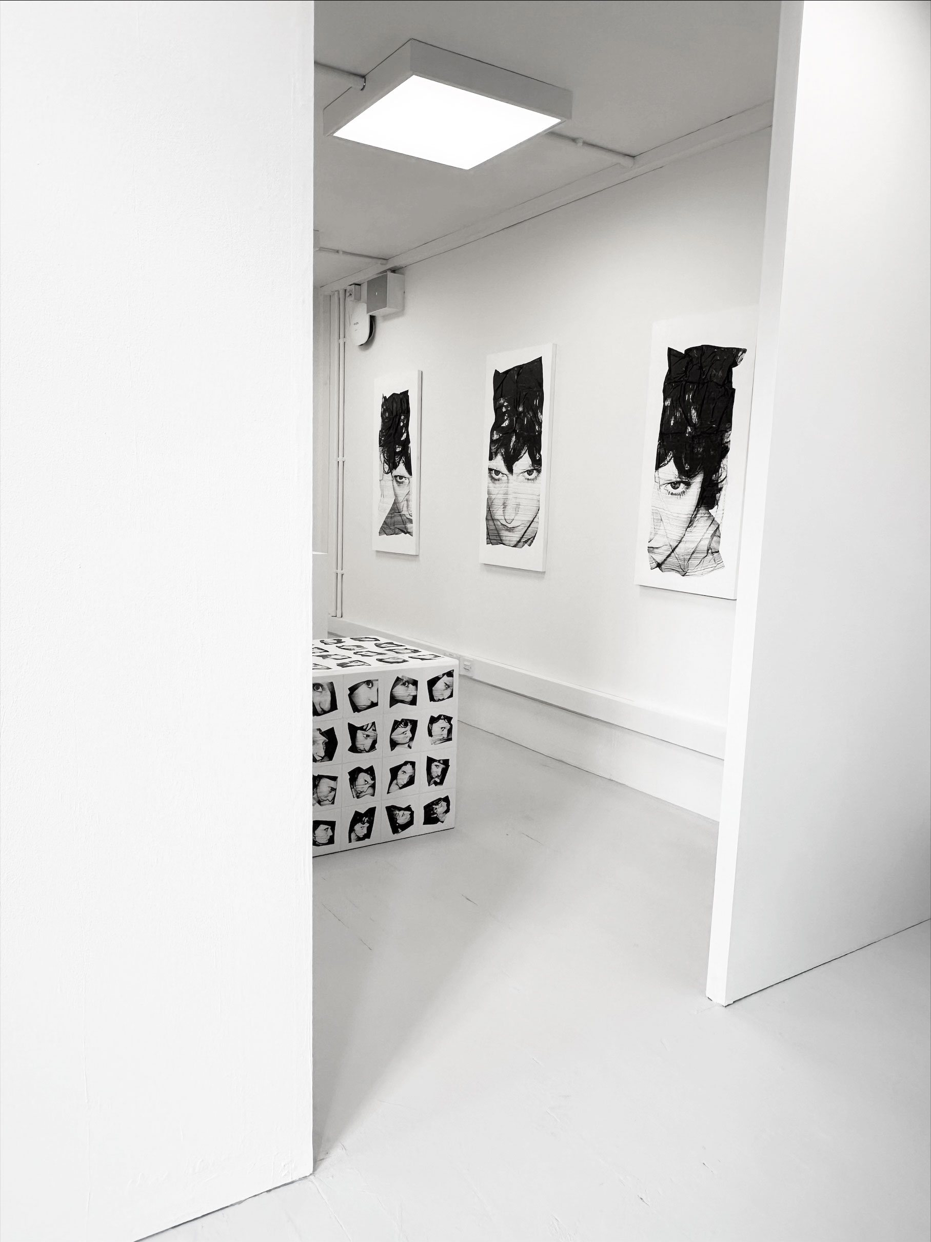 Molly Mavor, DETRITUS series