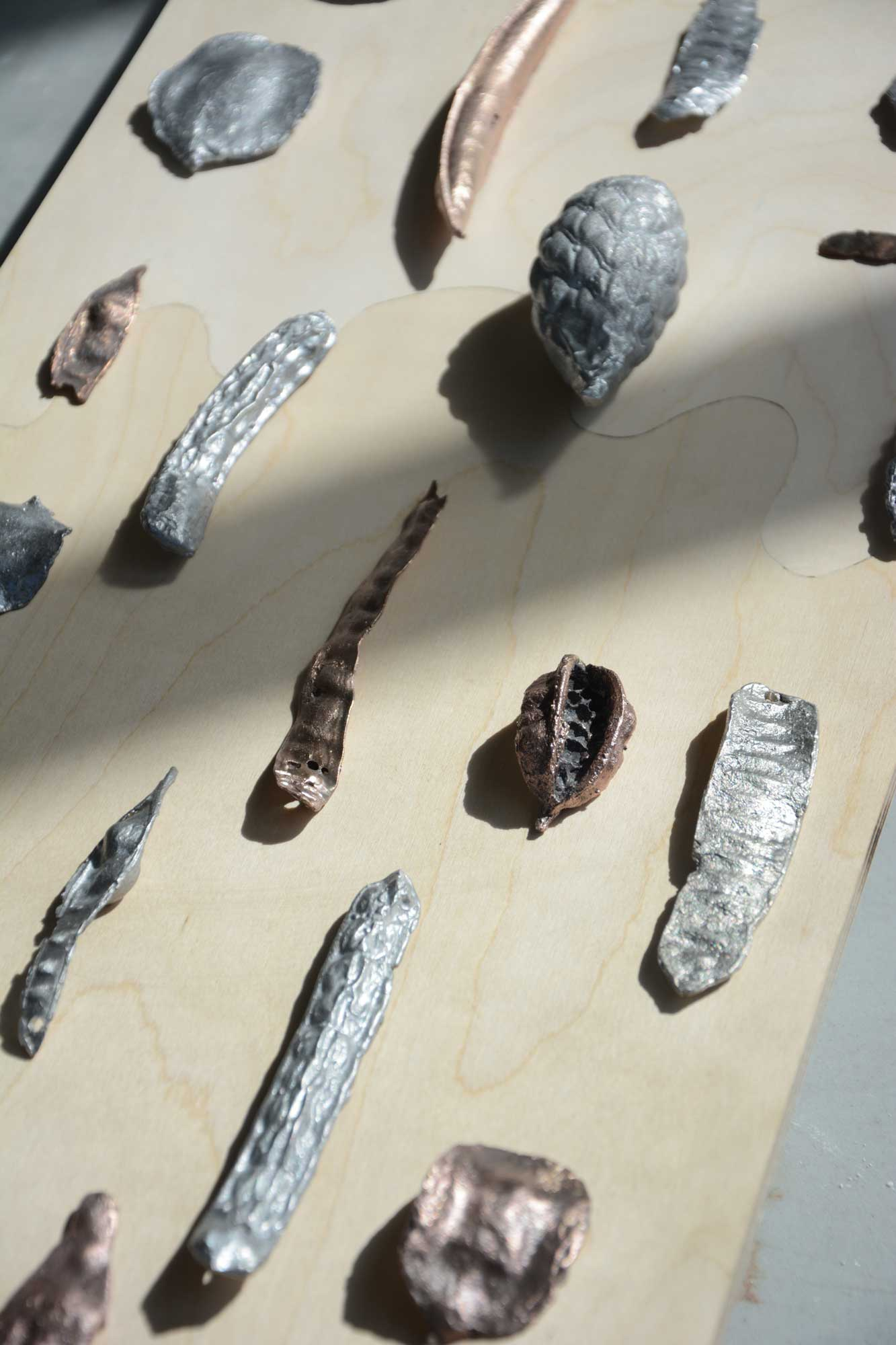 Metal seeds shinning in sun 