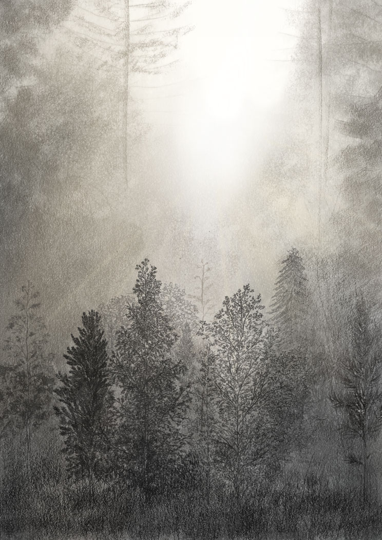 forest 'interior room'