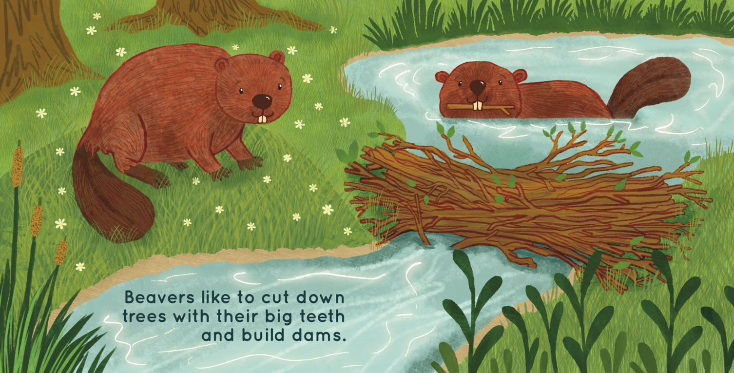 double page spread from a baby book of beavers building a dam
