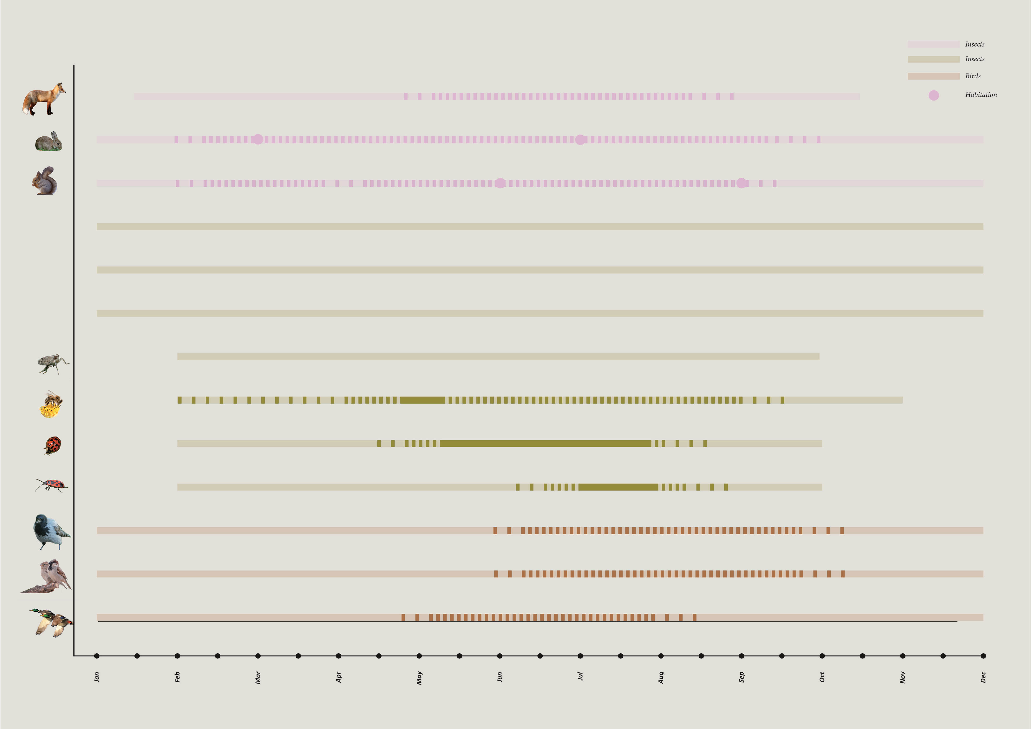 Nonhuman Activities Diagram