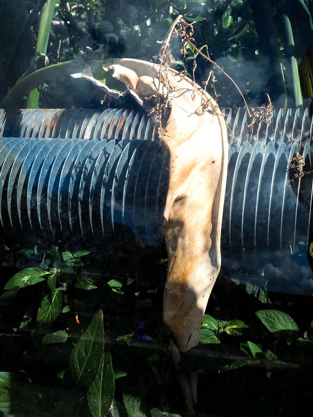 colour photograph of whitte leaf tossled over a metal tube