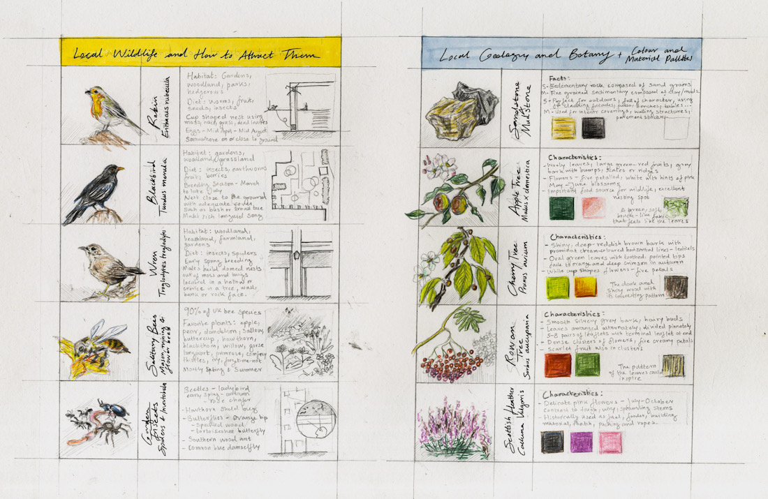 Biophilic Design Research Sketches 