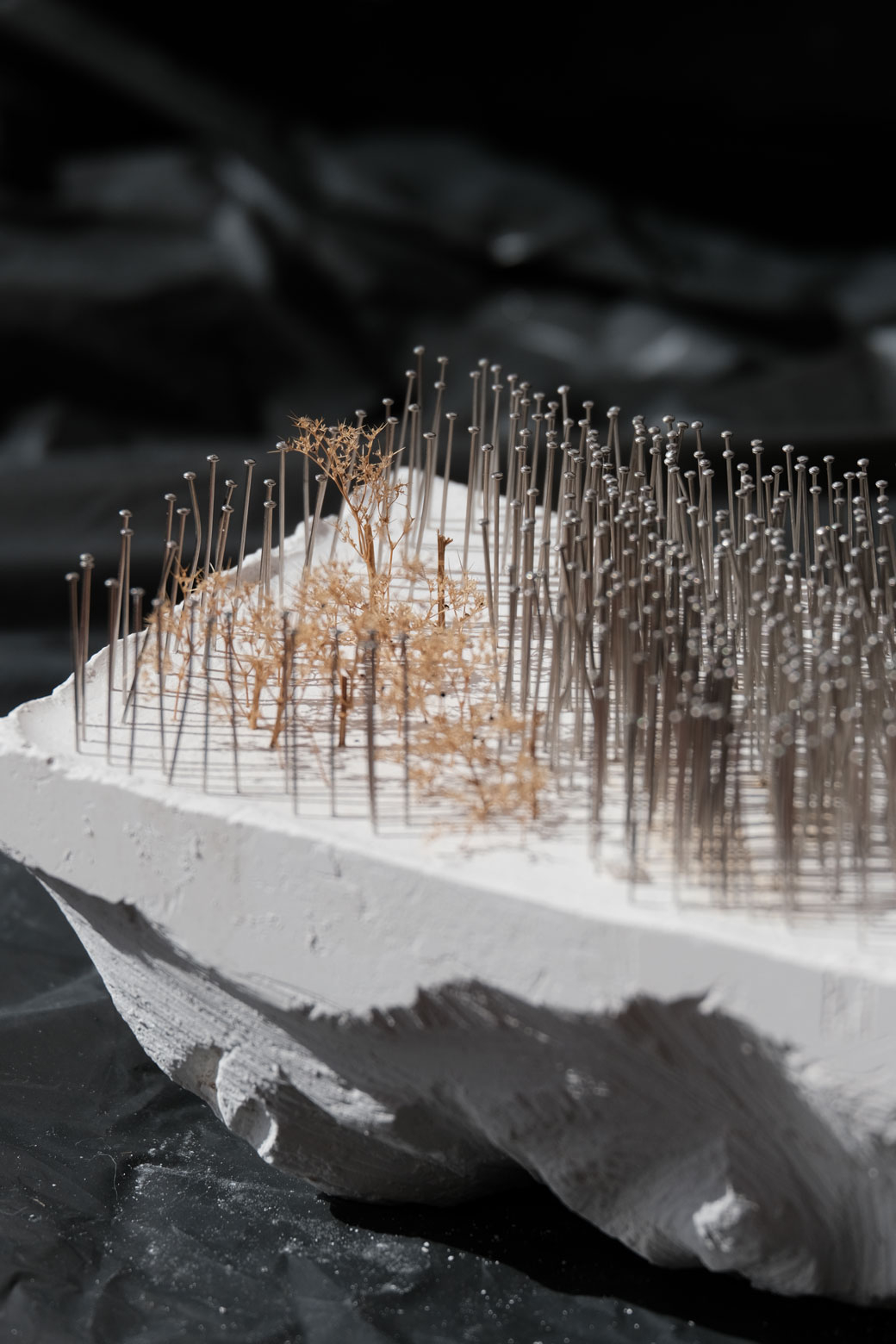 study model