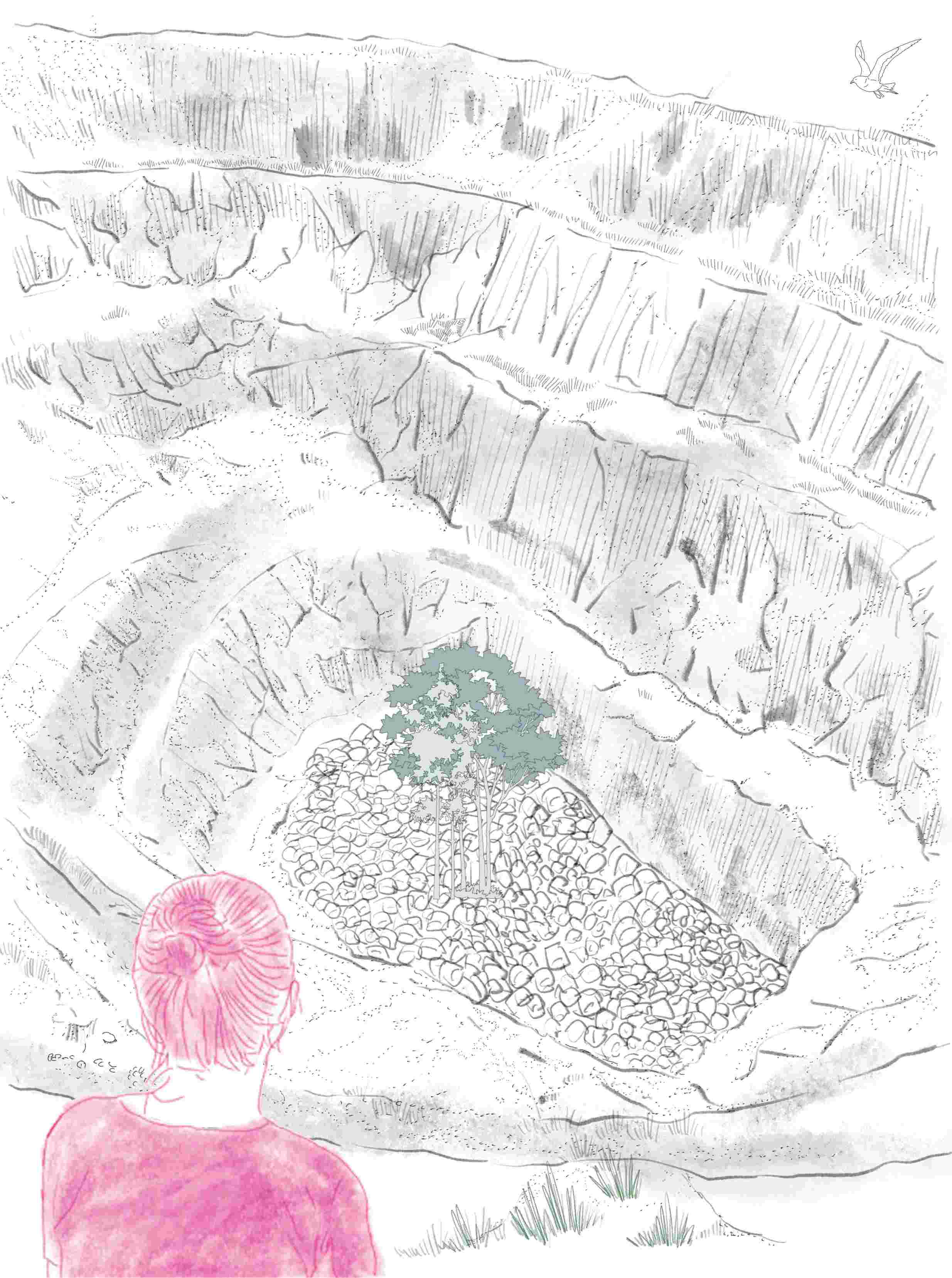  Geological  garden- Normal time